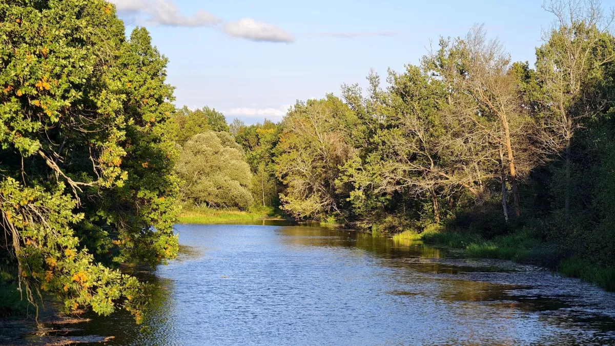 Жителей Владимирской области приглашают спасти главную реку региона