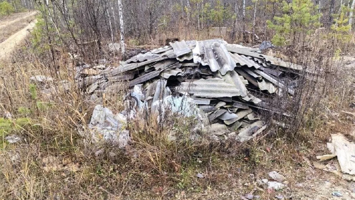 В Селивановском районе суд обязал крупного лесозаготовителя ликвидировать свалку