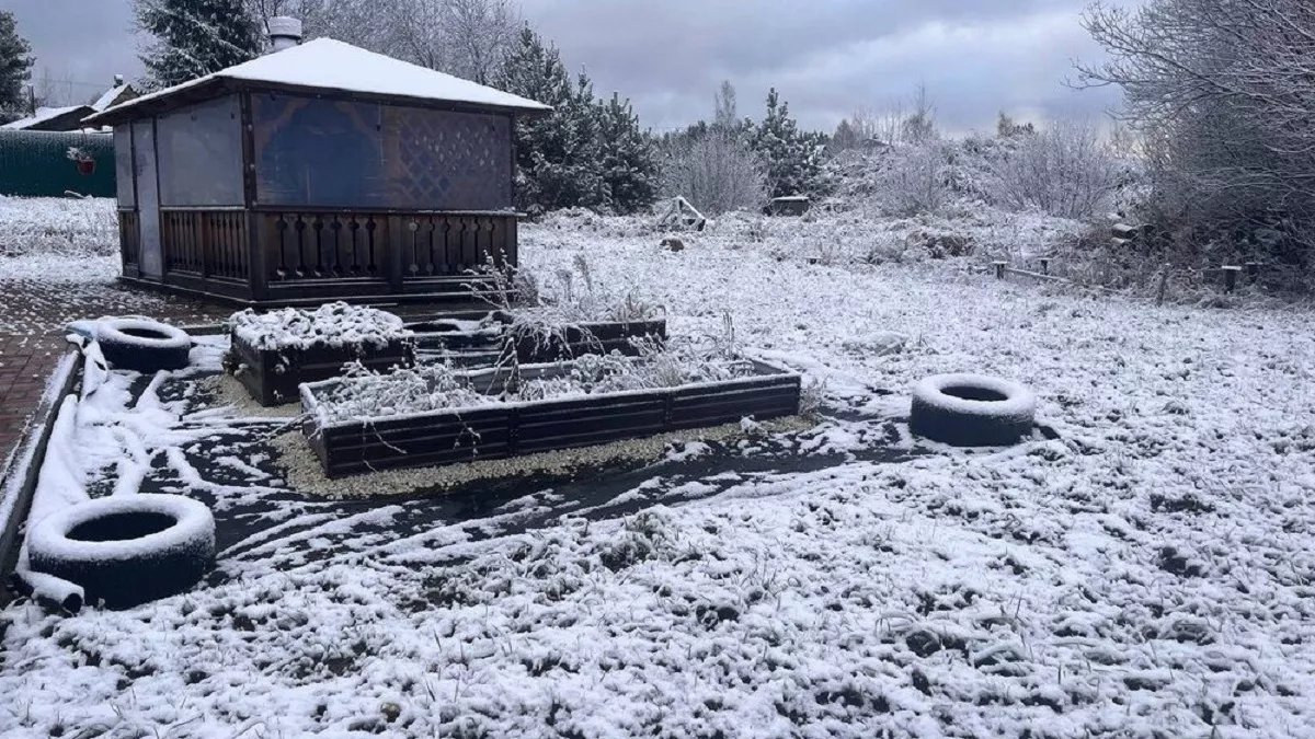 Чем обработать сад при потеплении весной: какие препараты реально работают, а какие — пустая трата денег