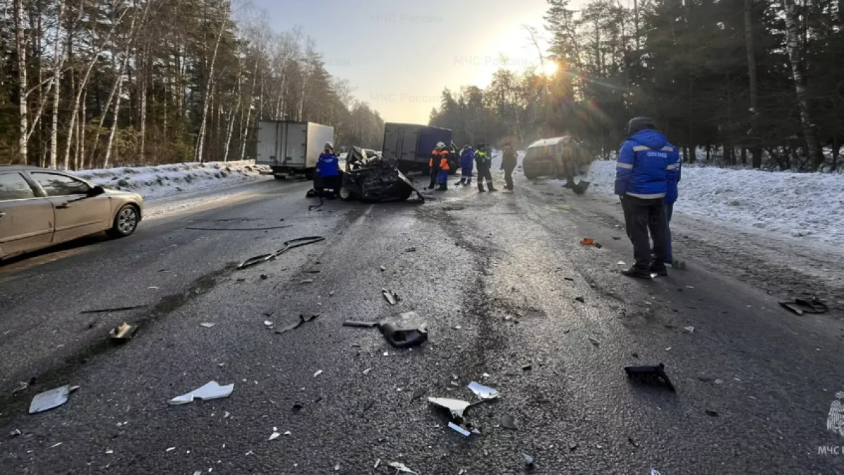 Под Гусь-Хрустальным спасатели вызволили водителя из искореженной машины