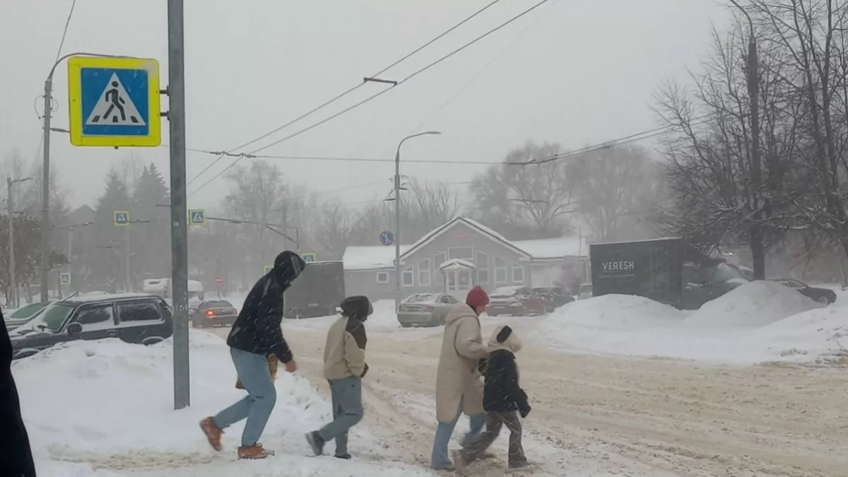 Куда нагрянут метели, а где ожидается тепло до +16? Гидрометцентр обновил прогноз по регионам России на конец недели