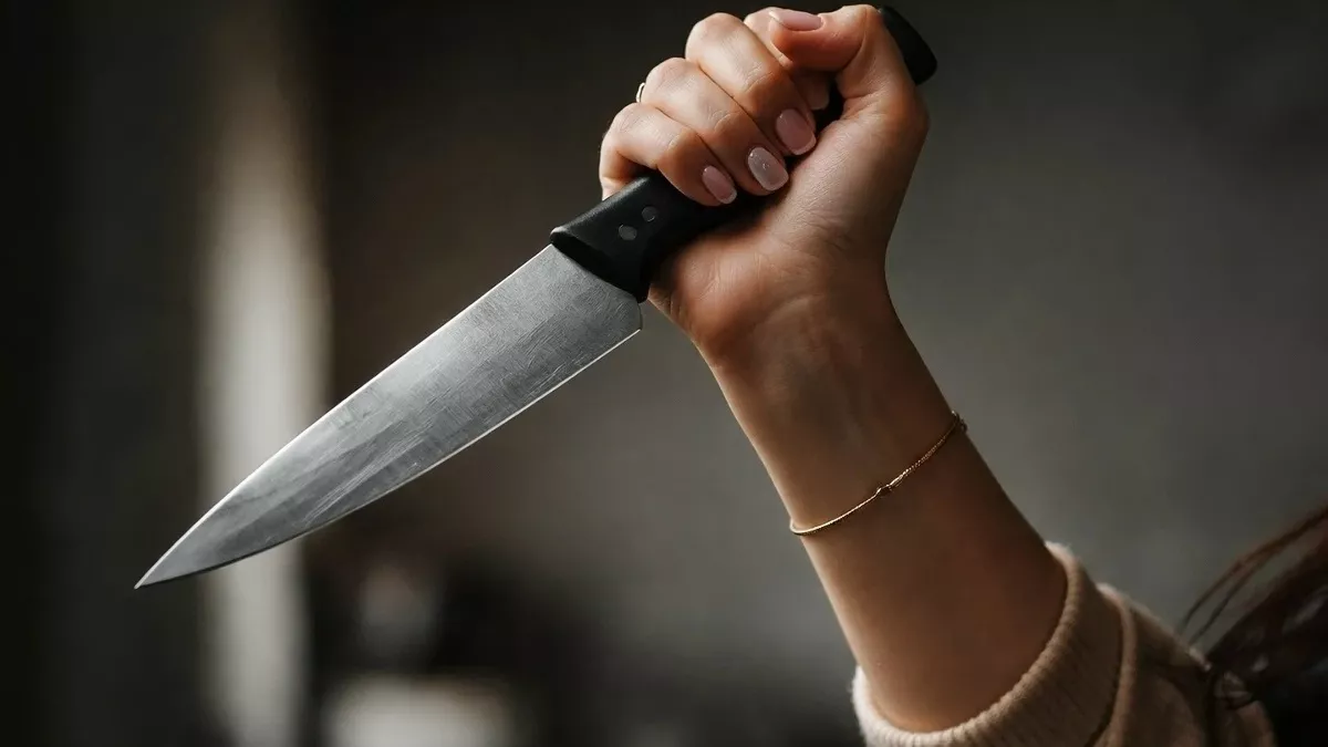 Жительница Камешково ударила ножом экс-сожителя из-за старых обид