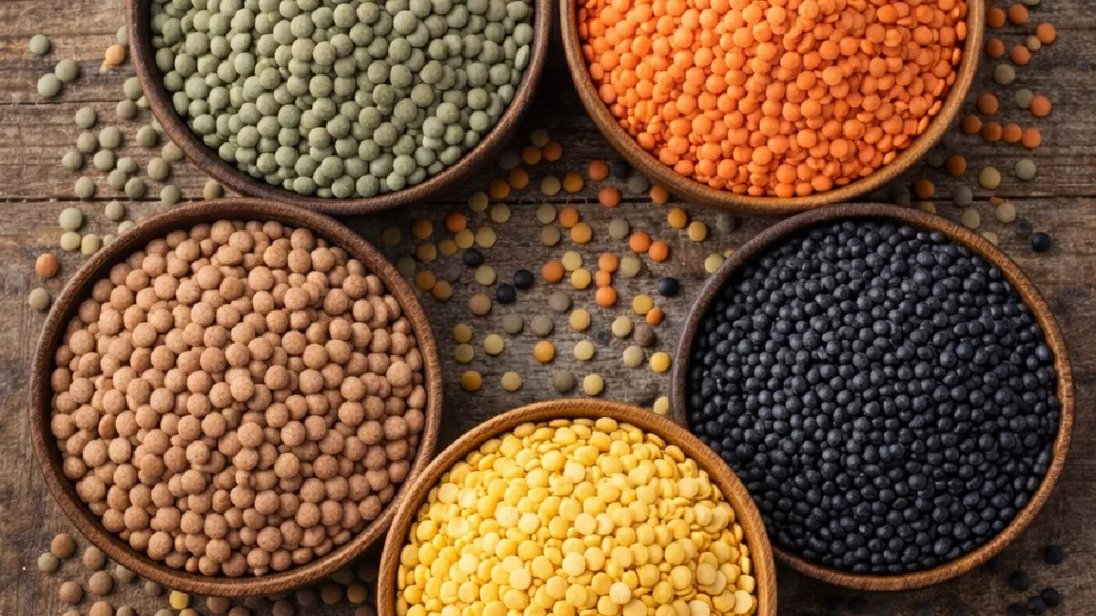 Почему чечевицу на Руси называли вторым хлебом, а в СССР забыли