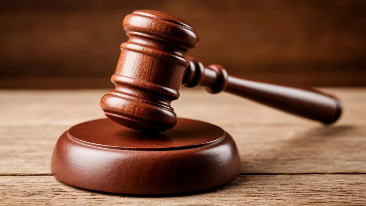 Суд вынес наказание жителю Балакирево, натравившему собаку на подростков и женщину