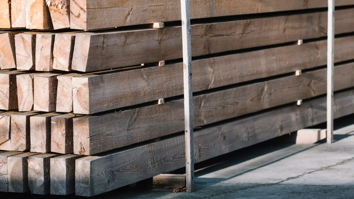 В Судогодском районе было обнаружено почти 500 кубометров опасной древесины