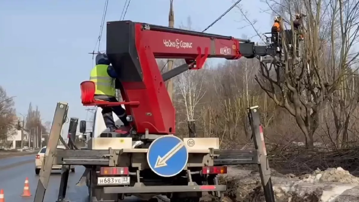 На Суздальском проспекте во Владимире начали кронировать деревья