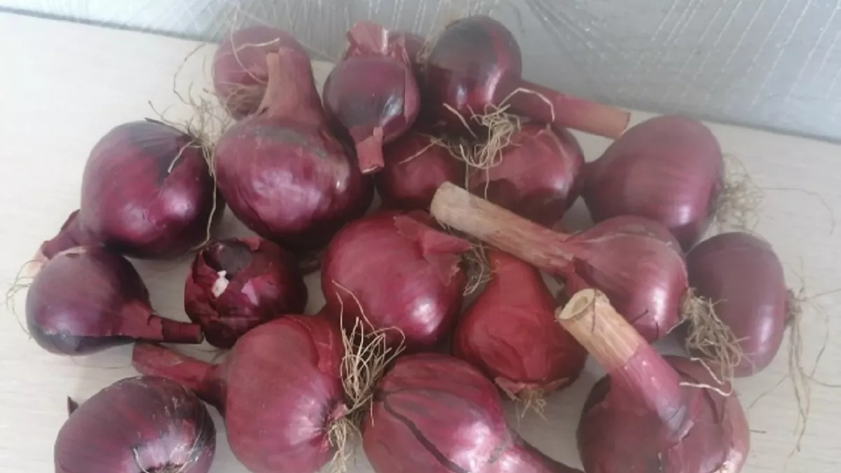 Как порезать лук без слез и запаха: гениальный лайфхак от опытных поваров