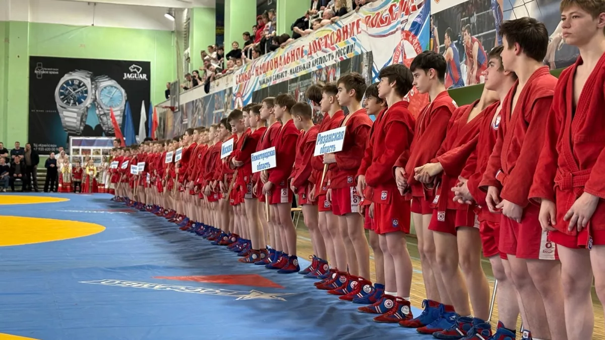 Владимирские самбисты взяли золото и бронзу на Всероссийском турнире