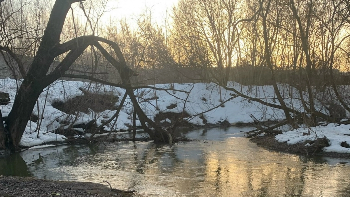 Шесть районов Владимирской области оказались в зоне риска из-за паводка