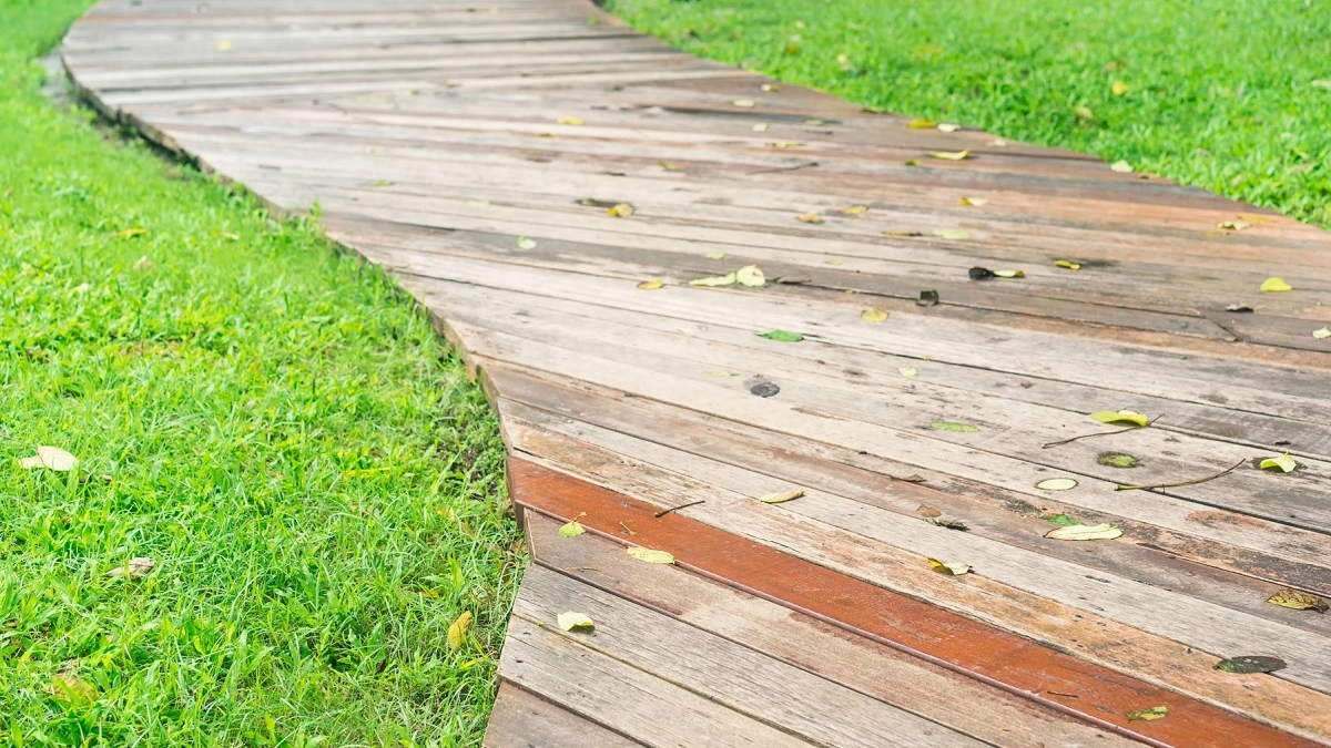 Деревянные садовые дорожки прослужат 20 лет благодаря этой пропитке: обработка в 3 шага