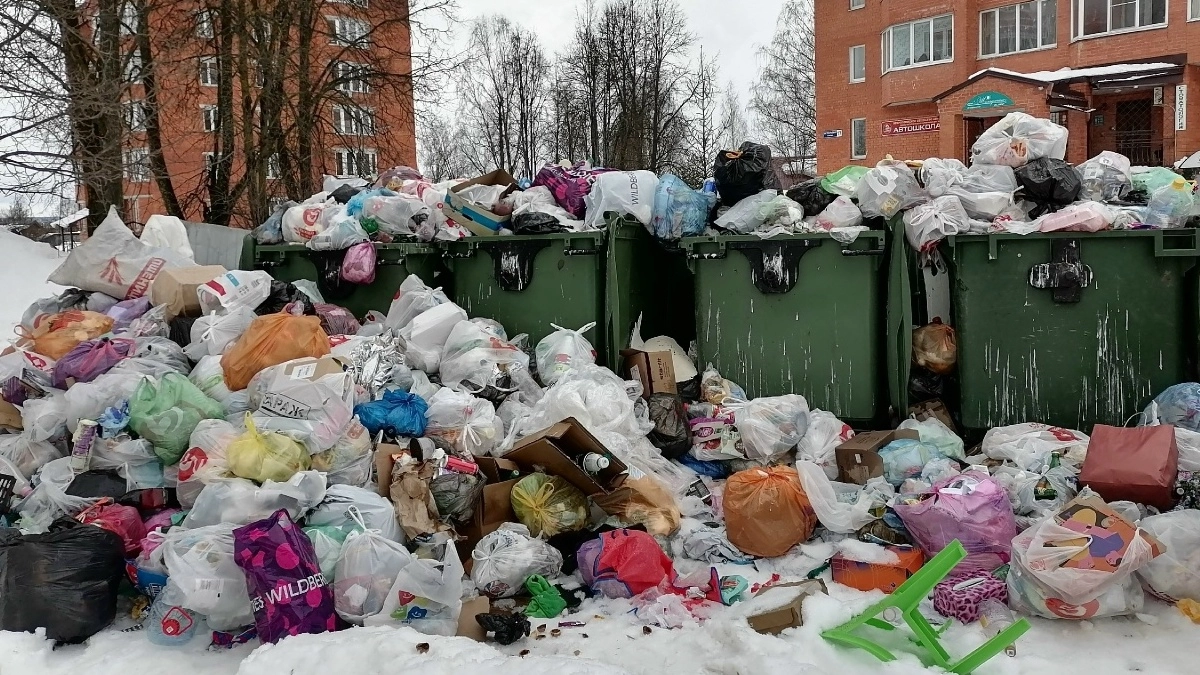 В Кольчугине прокуратура добилась уборки 30 мусорных площадок