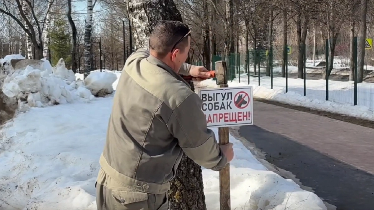Во владимирских парках появились таблички с запретом выгула собак