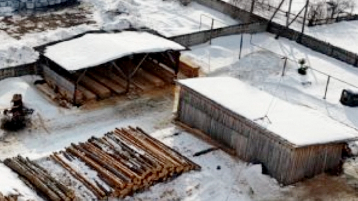 В Собинском районе с помощью БПЛА выявили почти 180 кубометров опасной древесины