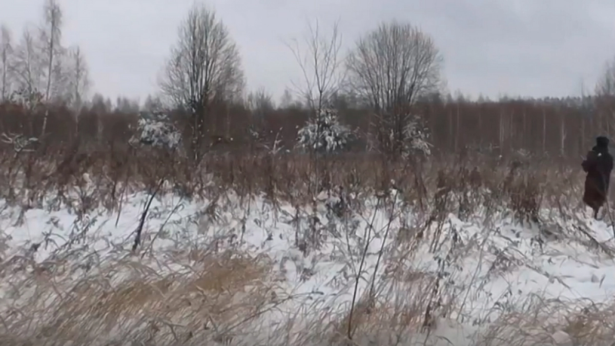 Собственники трех участков в Меленковском районе забросили более 150 гектаров