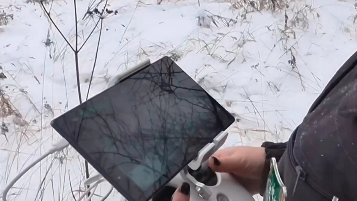 Допустившего зарастание 290 га земли в Александровском районе снова оштрафовали