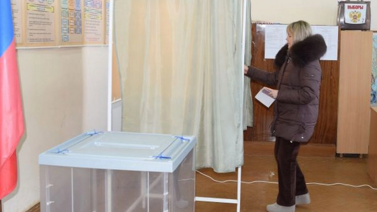 На муниципальных выборах наибольшую активность показали избиратели Доброграда