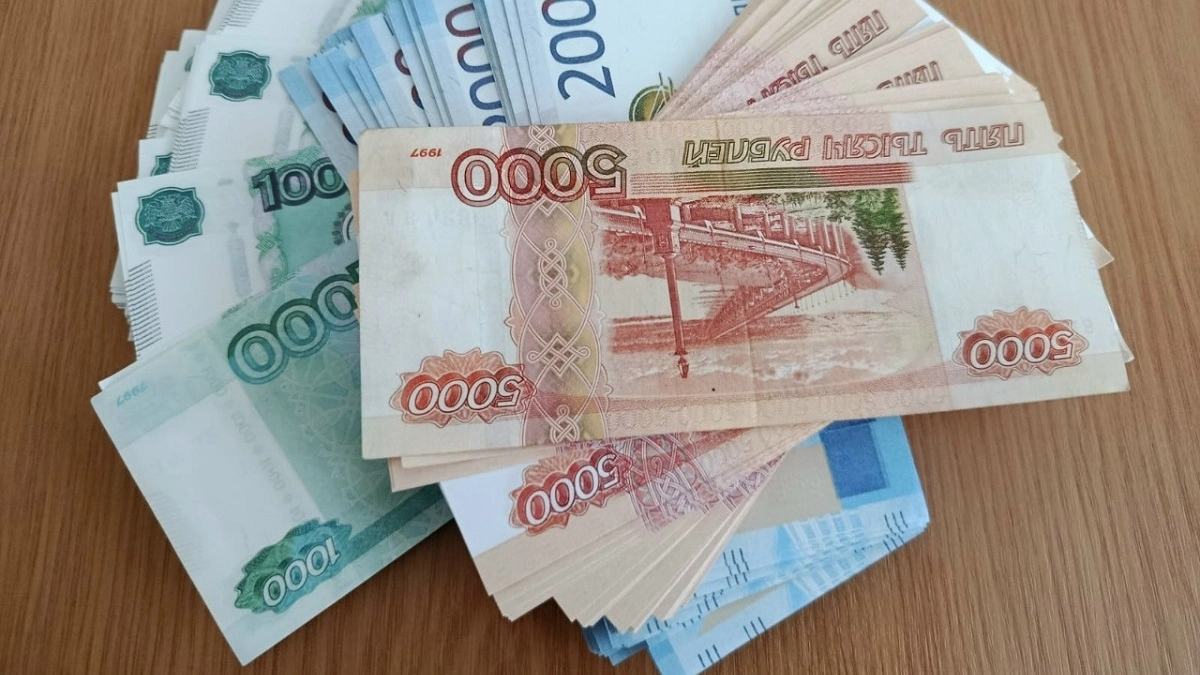 В Суздале мужчина заплатит 2,5 миллиона рублей за незаконную продажу леса