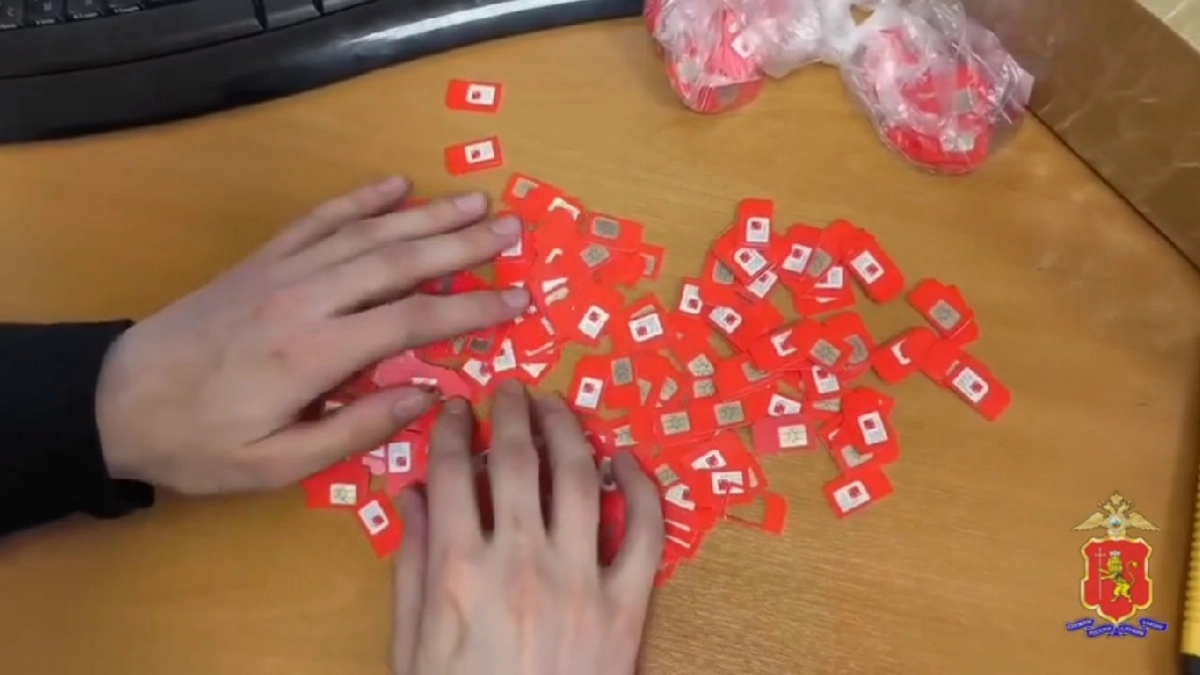 Во Владимире задержали женщину, помогавшую мошенникам с сим-боксом