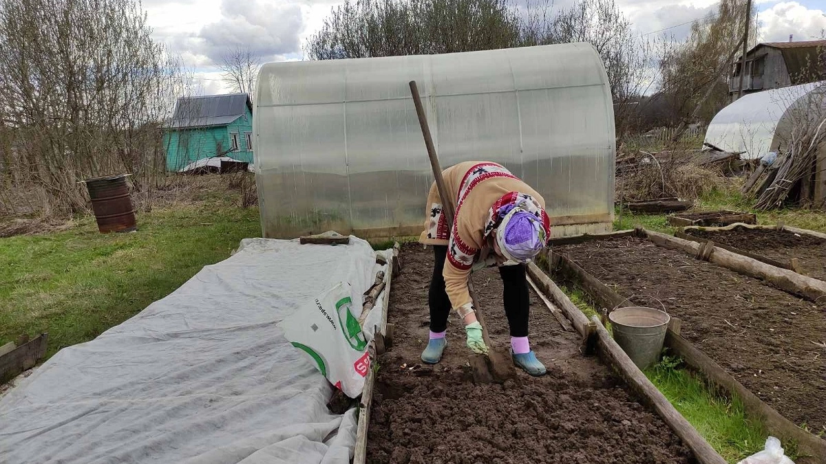 Работы в огороде в апреле-2026: что нужно сделать после того, как сойдет снег - дачникам на заметку