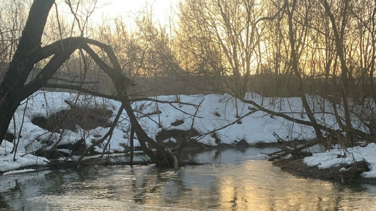 Во Владимире мэрия официально запретила выходить на лед с 24 марта