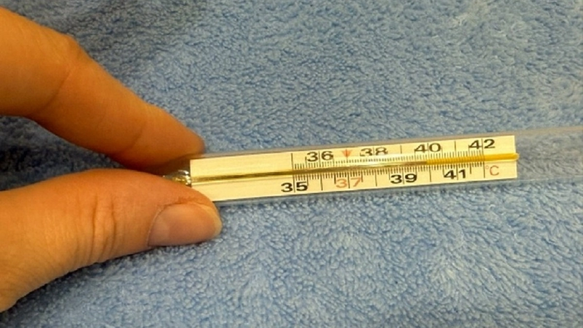 Заболеваемость ОРВИ во Владимирской области подскочила почти на 14%