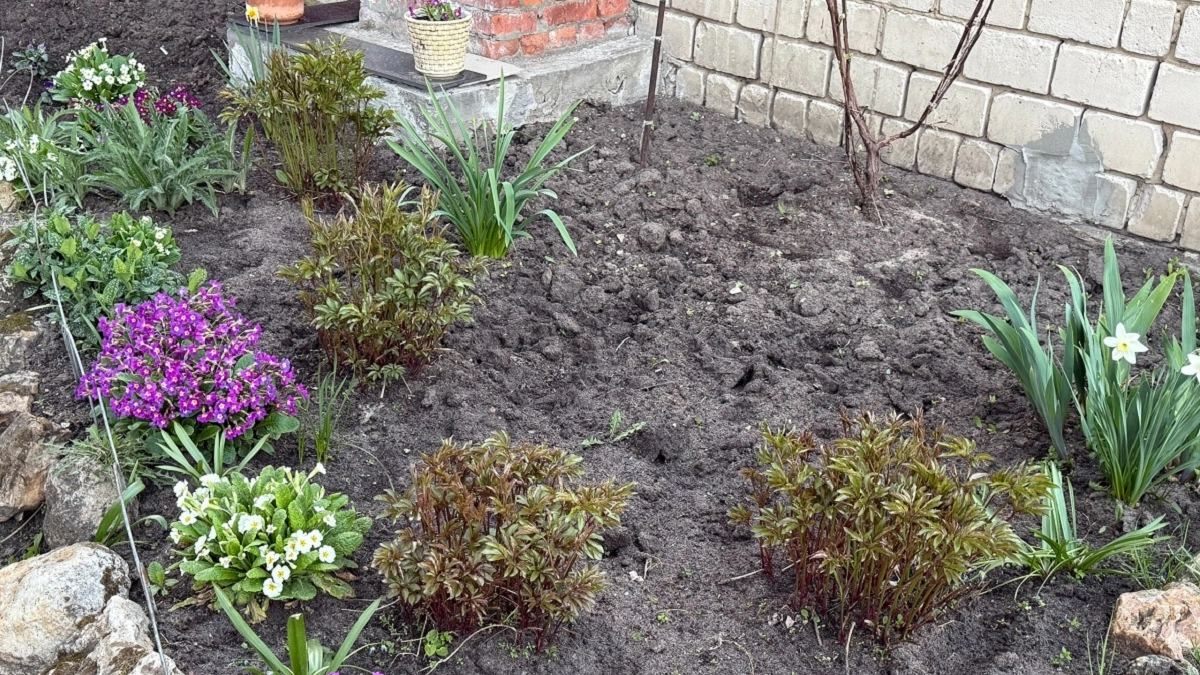 Россиян предупреждают о штрафах за огороды и клумбы во дворах домов: кому и сколько придётся платить?