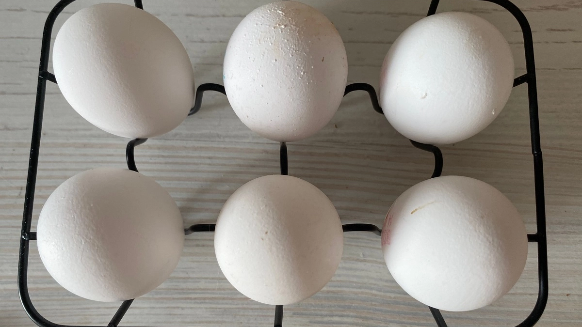 Больше не выбрасываю яичную скорлупу: нашла 9 полезных способов применения в доме и саду