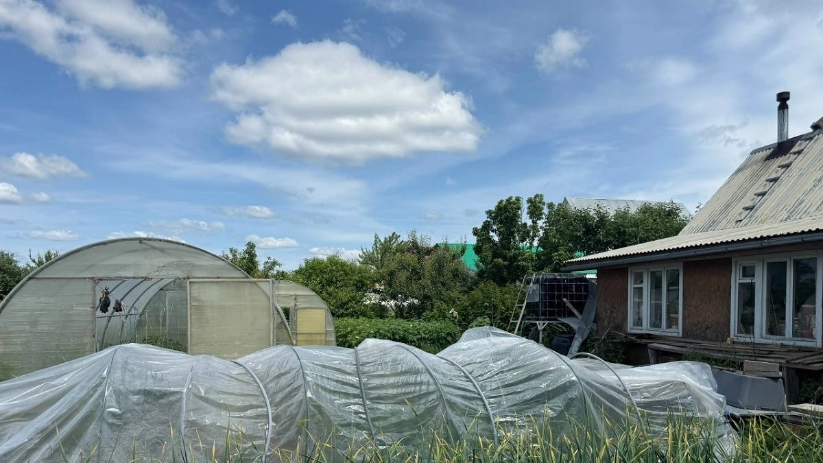 Про поликарбонат и плёнку забыл: теплицу перекрыл гибким стеклом и не жалею - крепкое и ставится быстро