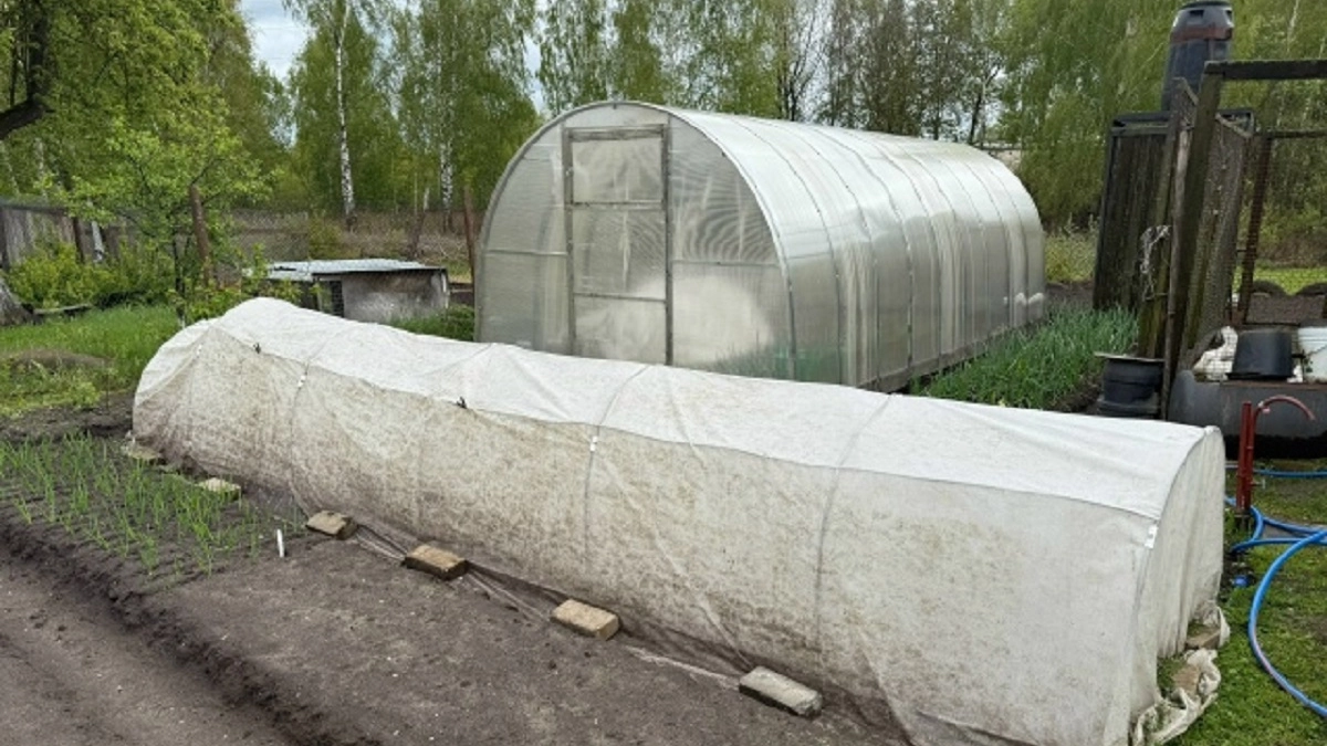 Делаю эти работы в апреле на даче: и огород радует меня весь сезон