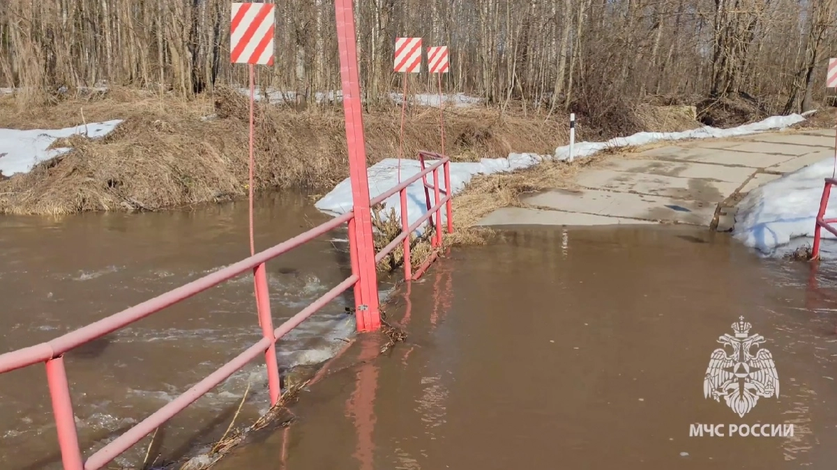В двух районах Владимирской области зафиксирован высокий уровень воды в реках