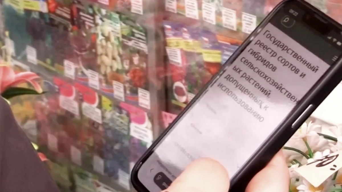 Владимирский Россельхознадзор пресёк продажу семян томатов «Вишня в шоколаде»