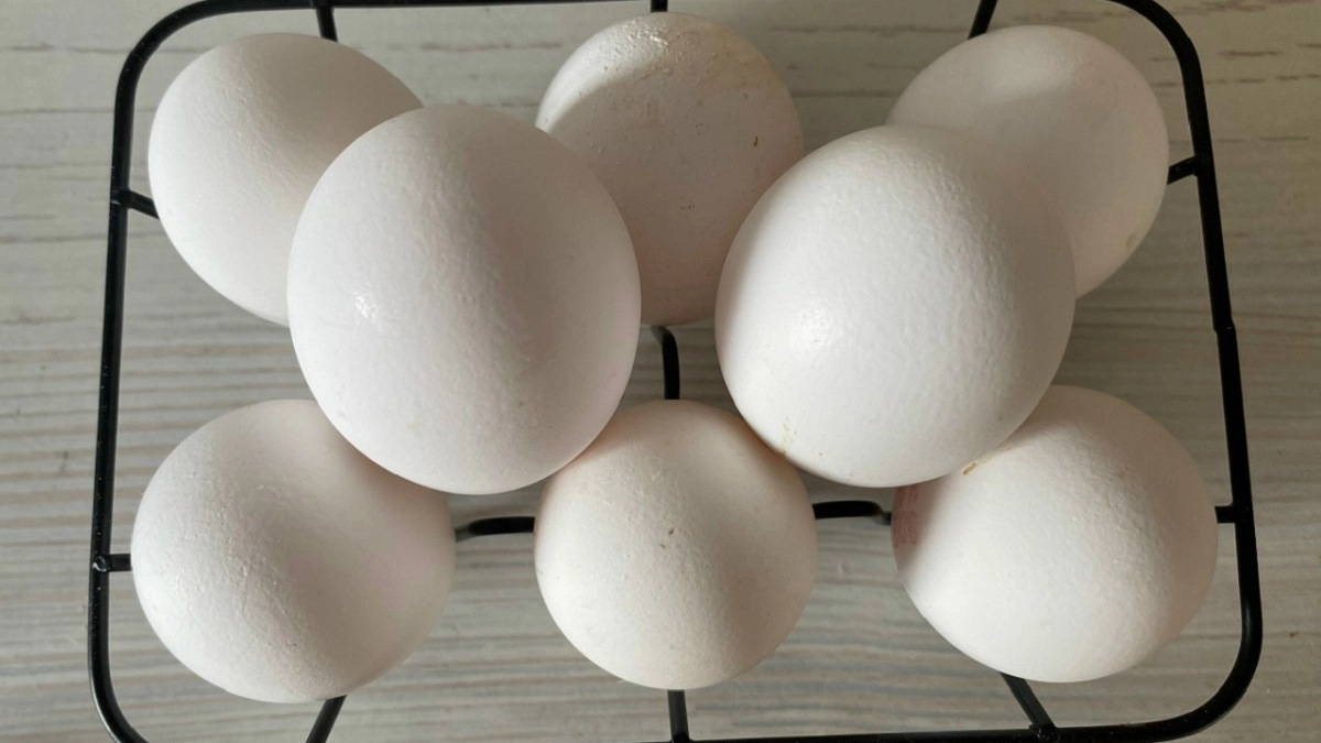 Важно знать перед Пасхой-2026: нужно ли мыть яйца на самом деле? Эксперты Роскачества поставили точку в вопросе