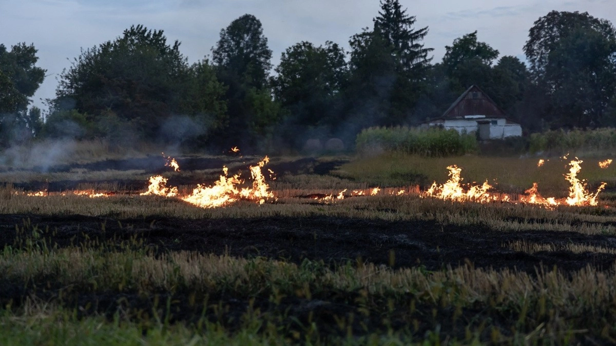 Во Владимирской области с 15 апреля объявлен пожароопасный период
