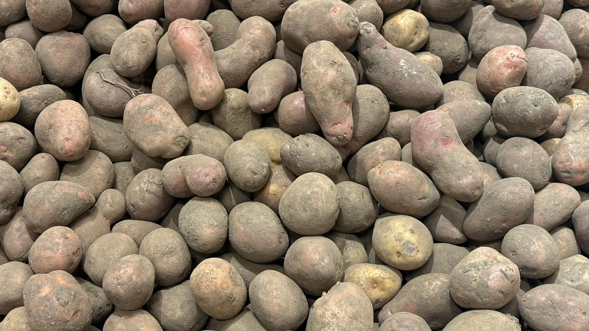 Как с легкостью ускорить чистку картошки: простой лайфхак, о котором многие не знают — а зря