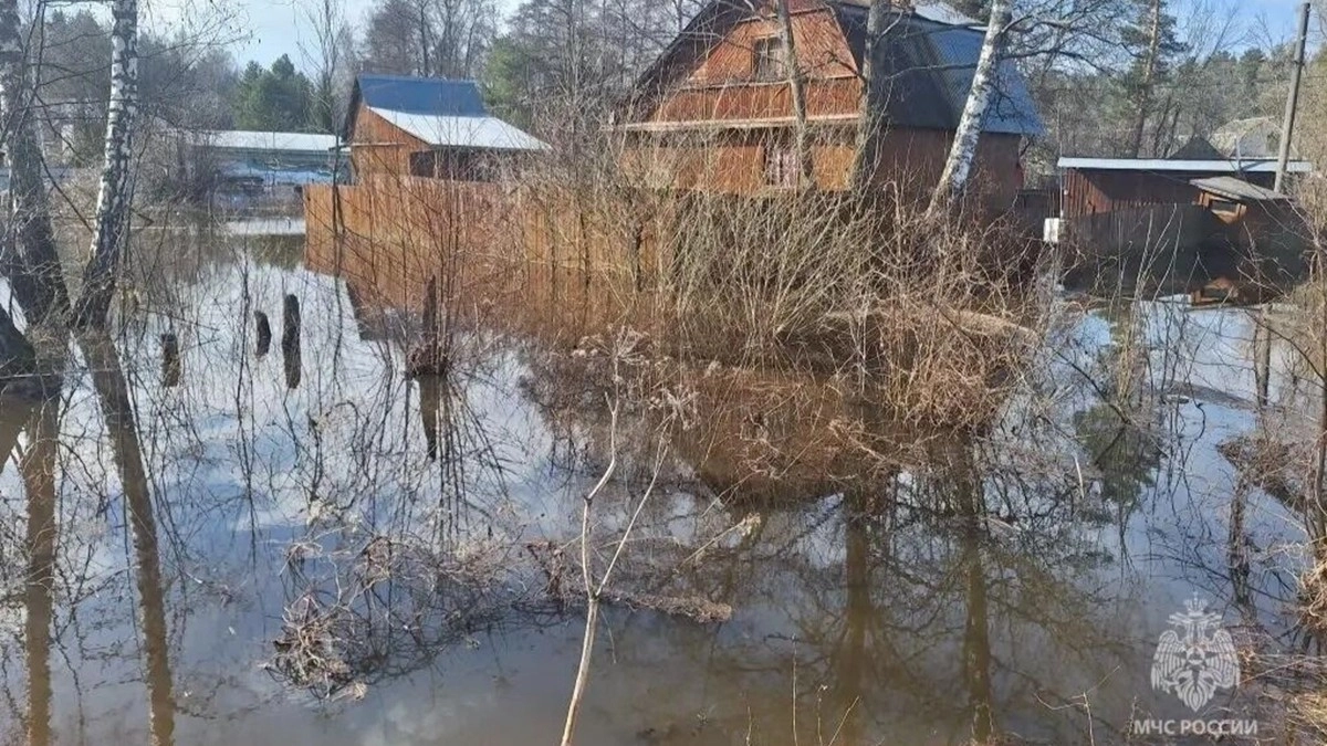 Половодье во Владимирской области коснулось 144 участков во всех районах