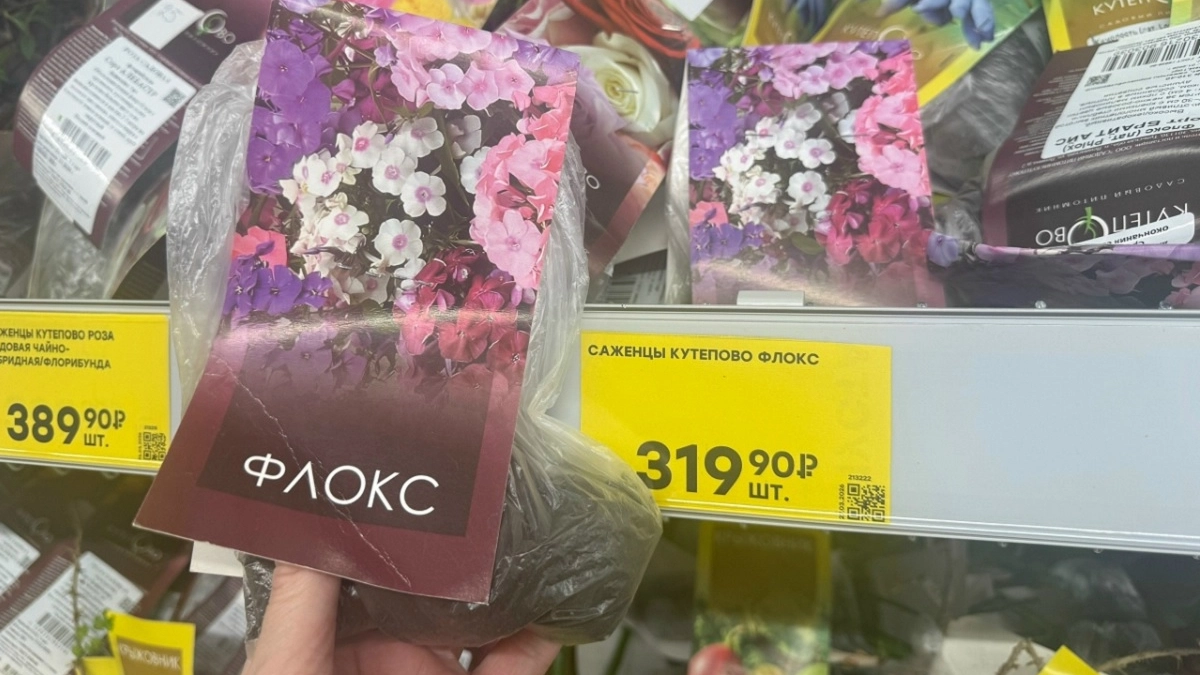 Что привезли в "Победу" для дачи: чудо-находки и что почём