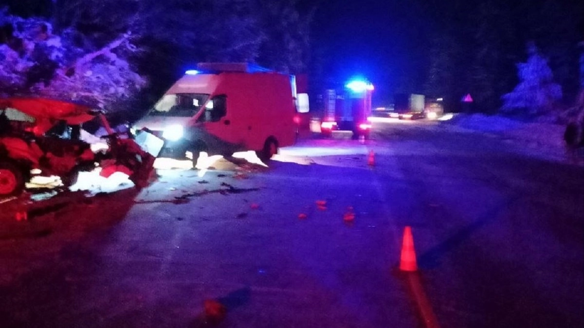 В Судогде водитель большегруза объехал дерево на дороге, но учинил трагичное ДТП