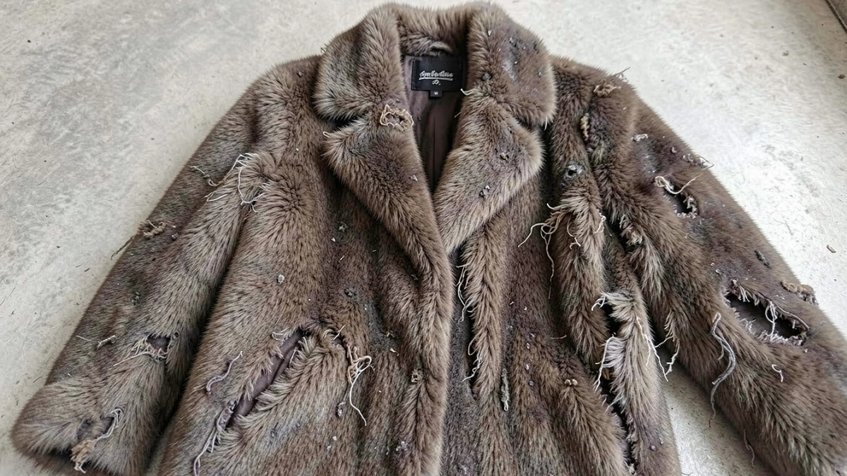 Моль боится этих трех вещей — сделайте раз, и вредитель исчезнет навсегда