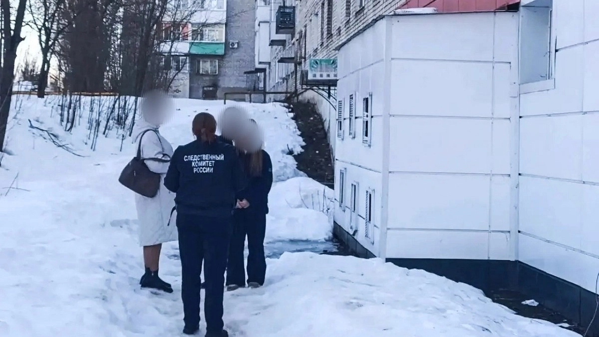 Директор «управляйки» в Киржаче ответит за случай с упавшей на девочку снежной глыбой