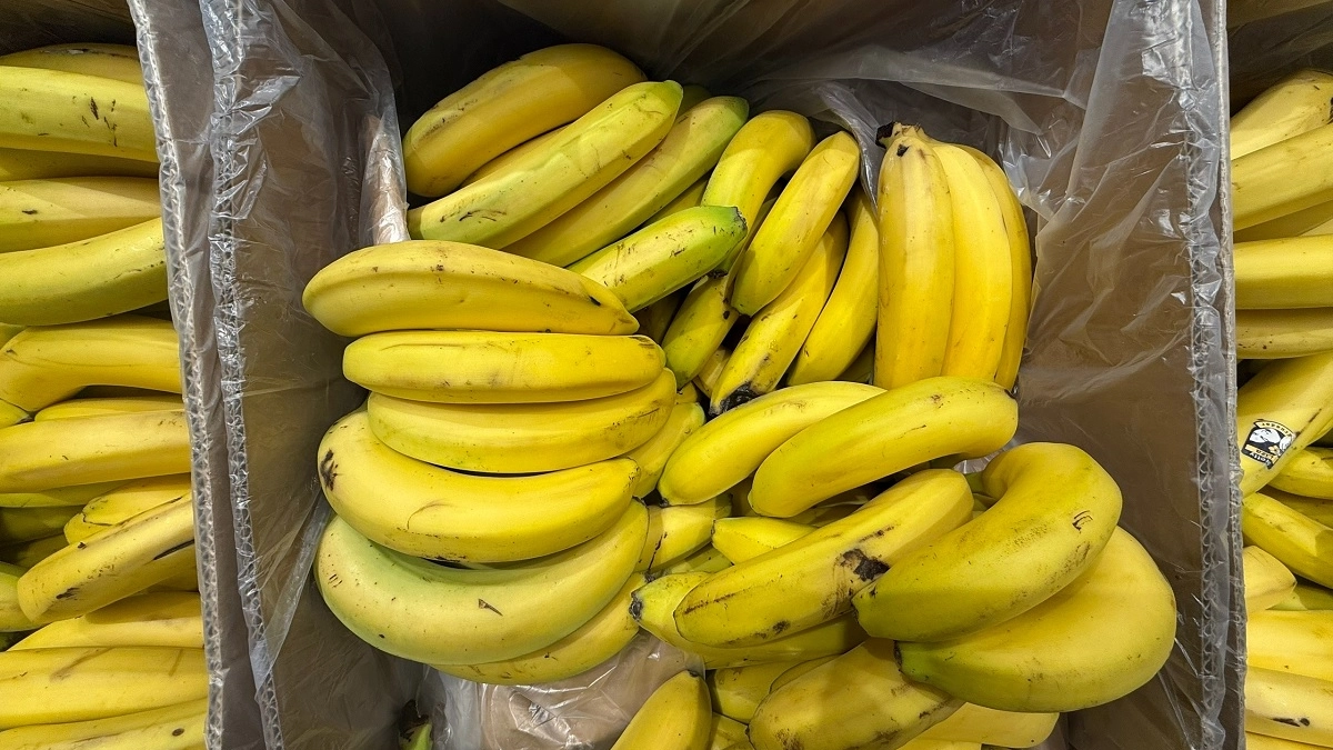 Никогда бы не догадалась: работница супермаркета показала, как хранить бананы без черноты – 14 дней и хоть сейчас на стол