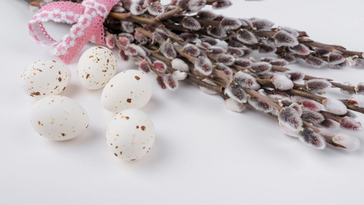 Что делать с вербой после Вербного воскресенья, чтобы не навлечь беду: 3 главных правила