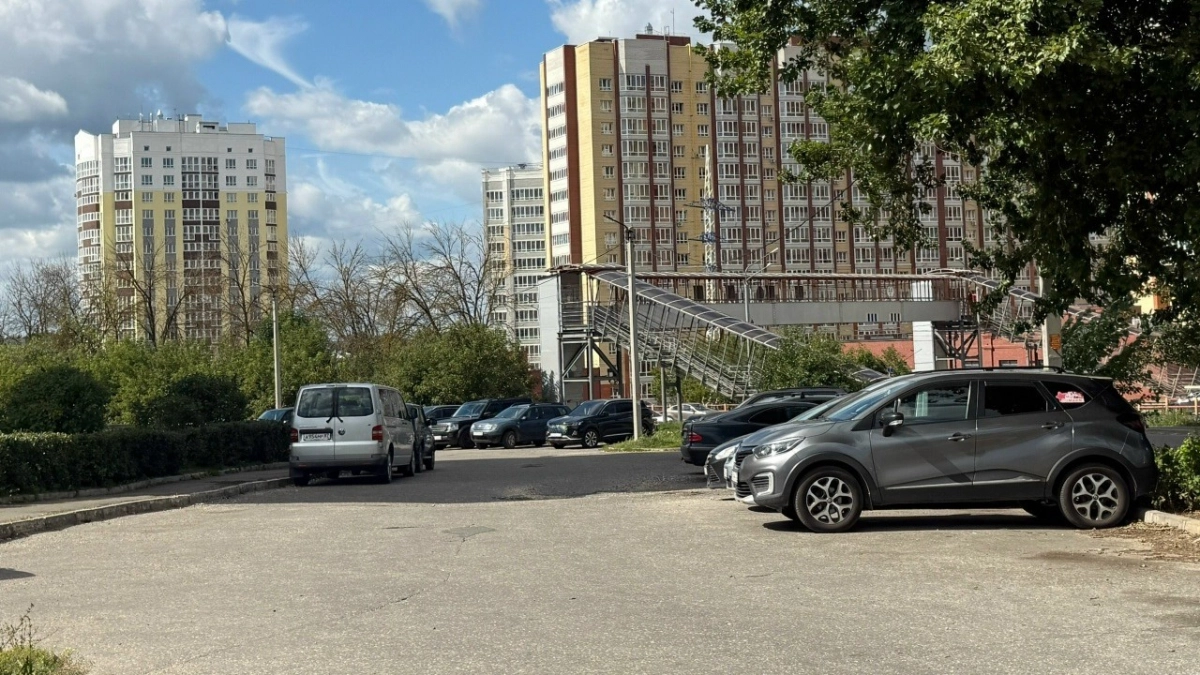 Во Владимире планируют озеленить два участка на улице Горького в 2026 году