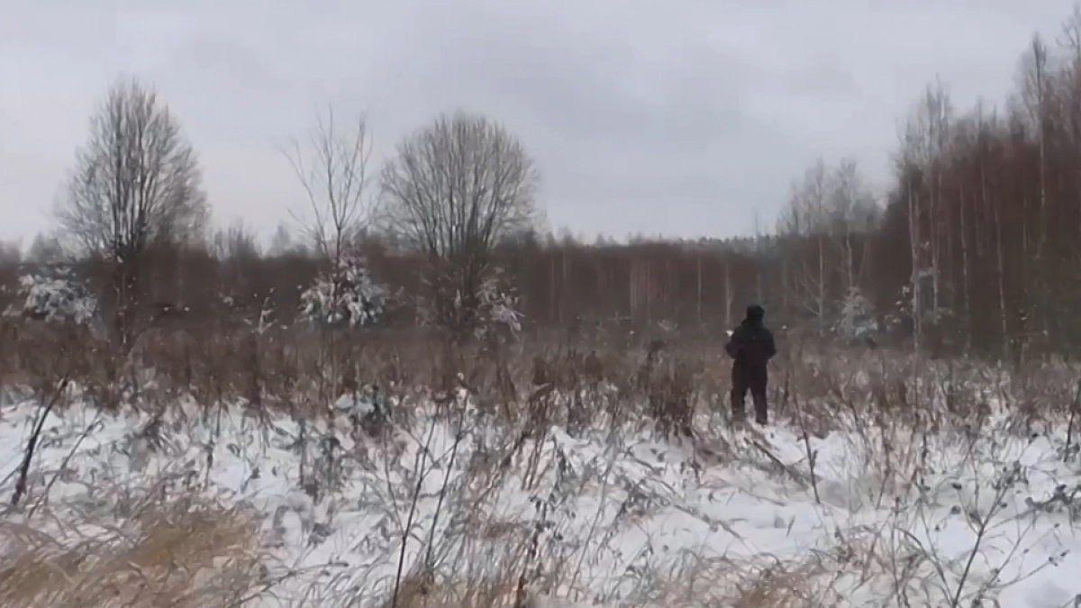 956 гектаров заброшенных земель в Меленковском районе признаны пожароопасными