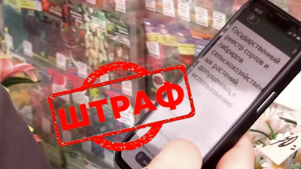 Во Владимире оштрафовали фирму по продаже нелегальных саженцев