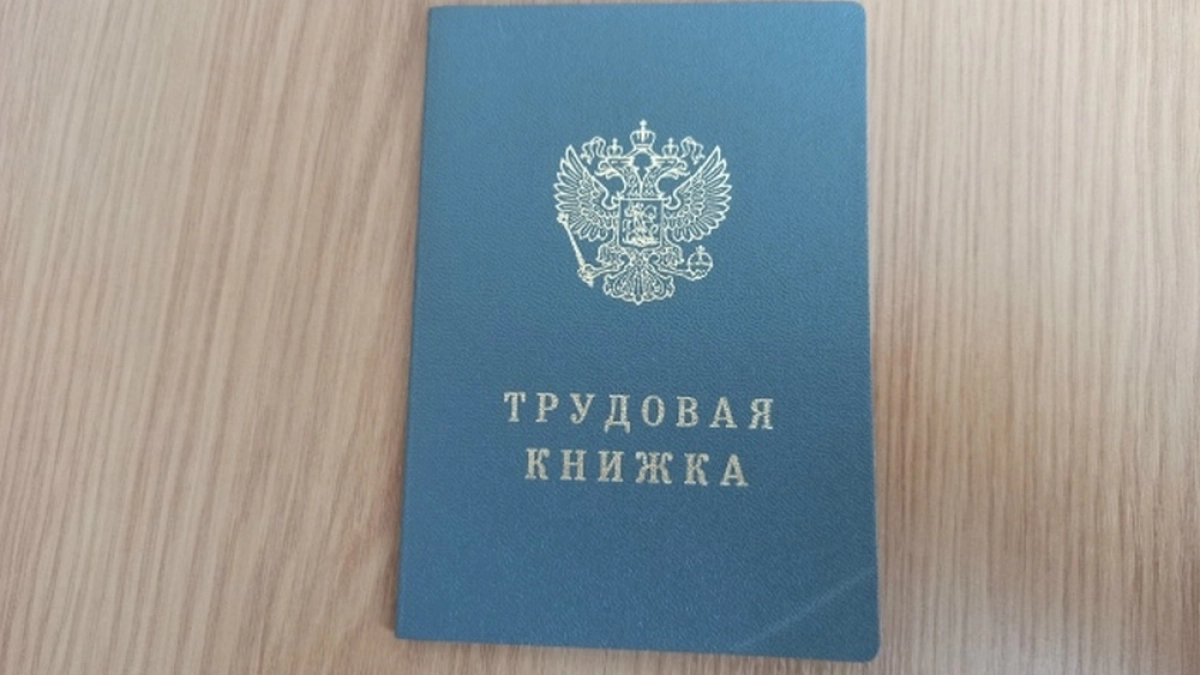 Прокуратура пресекла факты «теневой» занятости на маркетплейсах в 33-м регионе