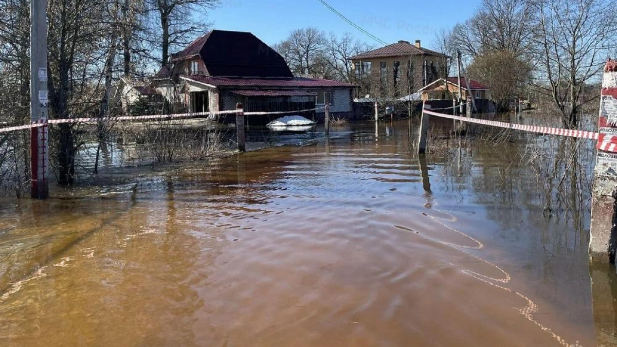 Во Владимирской области реки вскрылись ранее прогноза метеорологов