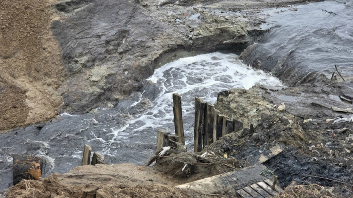 Жители муромского села в месте разлива пруда собирали карасей вёдрами