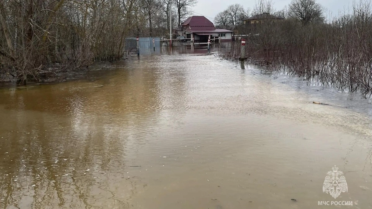 Подъем воды наблюдается как минимум в 7 районах Владимирской области