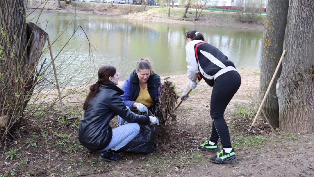 Общегородской субботник во Владимире пройдет 25 апреля
