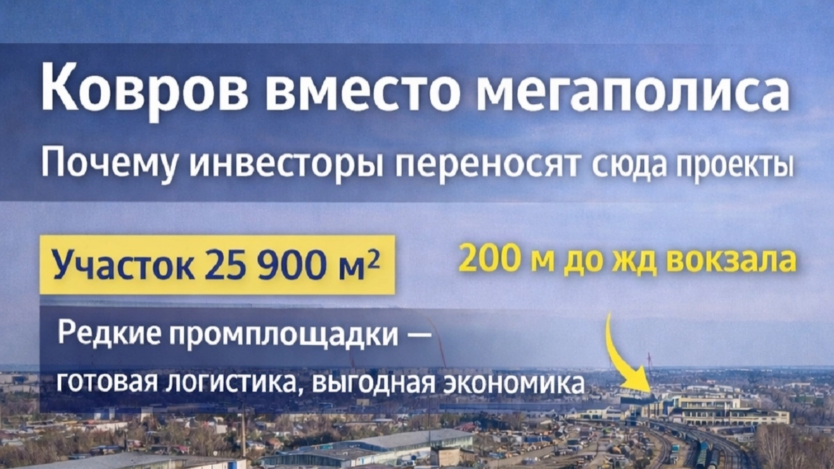Ковров вместо мегаполиса: почему инвесторы переносят сюда проекты